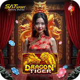 Dragon Tiger_