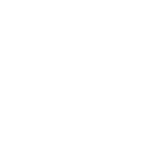 Dragon Tiger