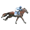 Greyhound Racing